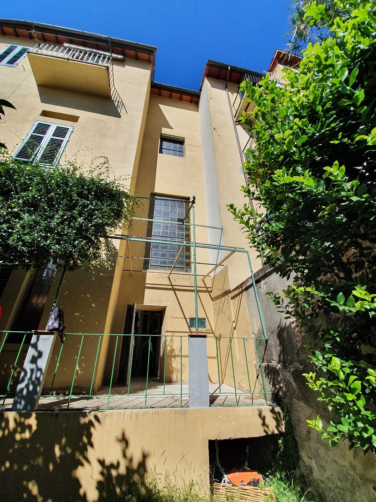 Before image